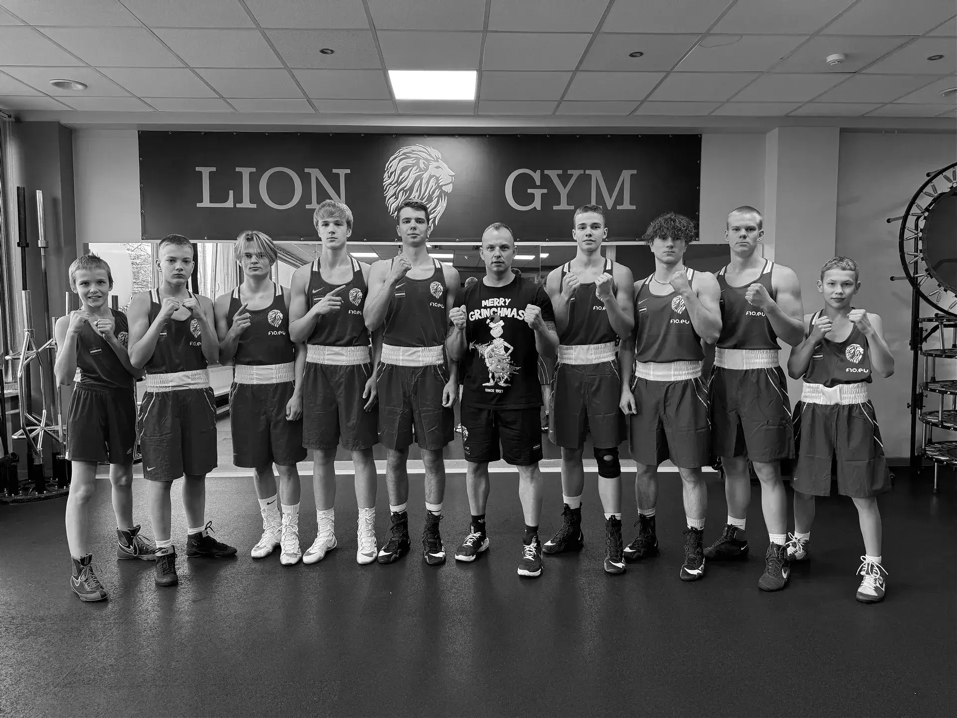 Main image of Lion Gym
