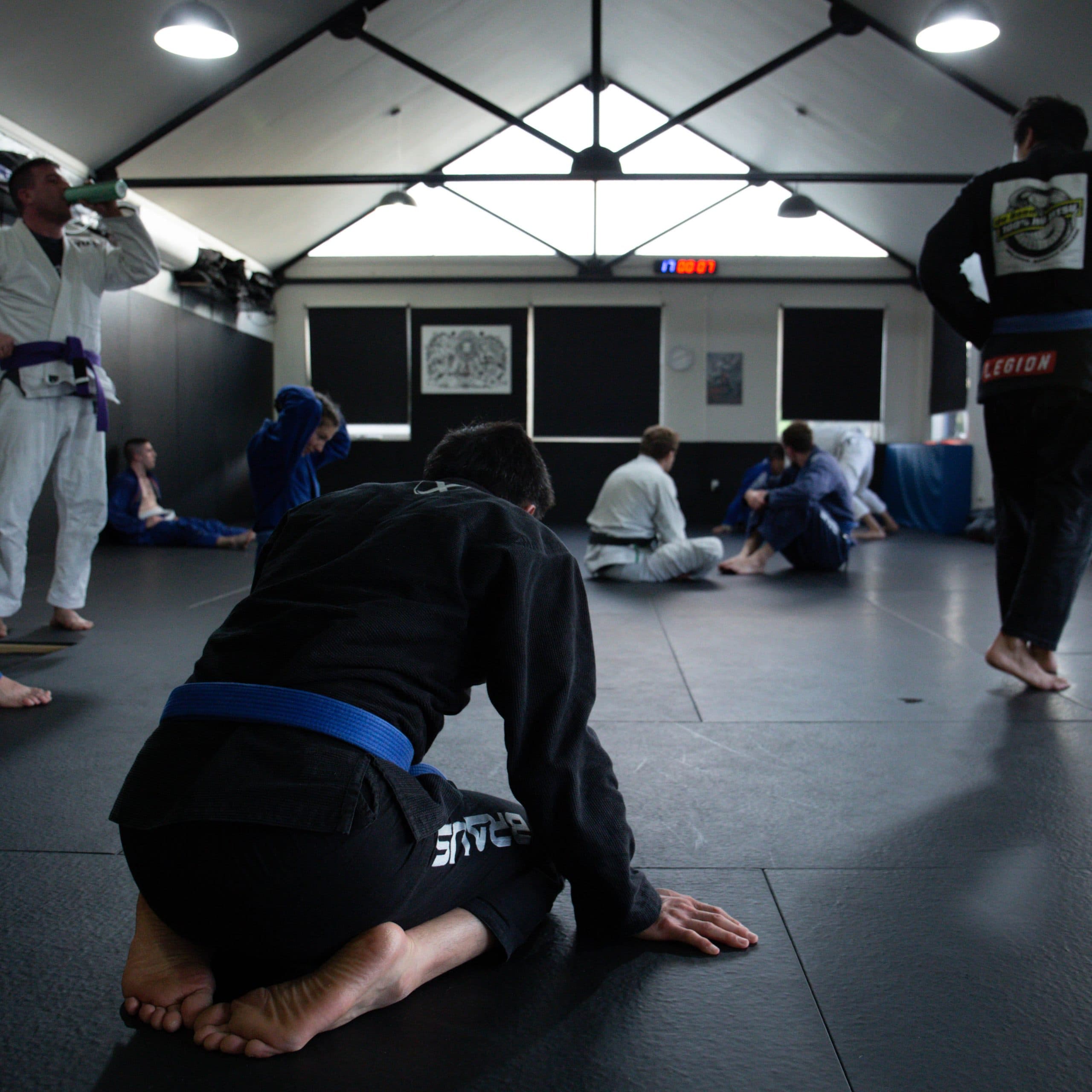Primal Martial Arts Academy logo
