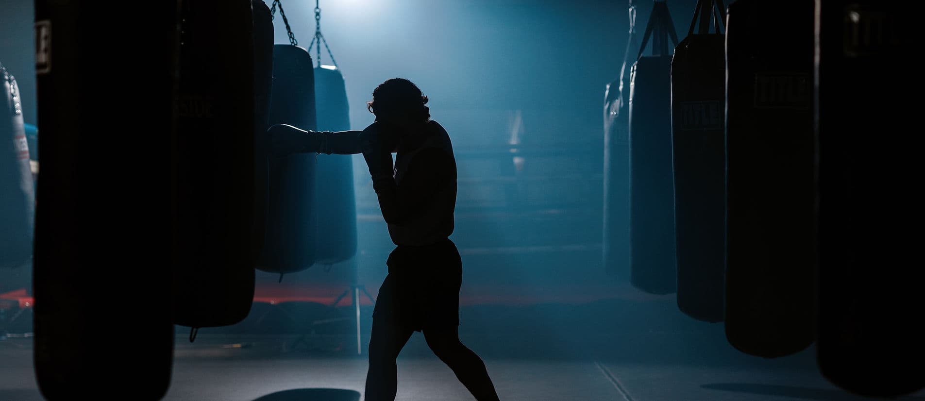 Macomb Boxing Club logo