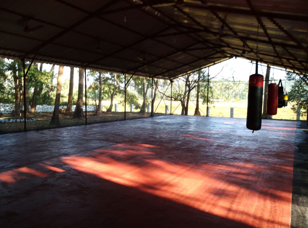 Main image of Warrior Training & Fitness