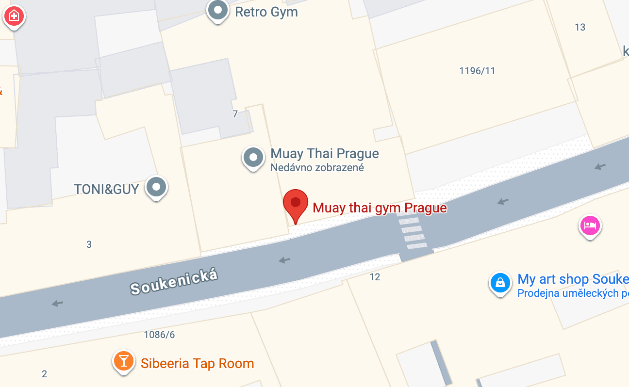 Muay thai gym Prague logo