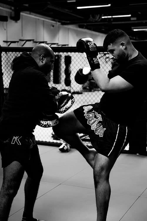 SHC Fight Gym logo