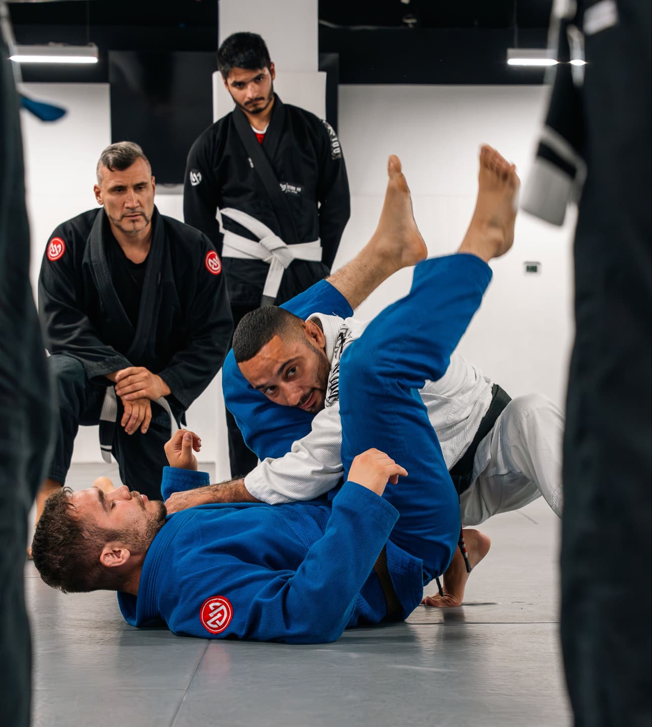 Main image of Studio 100 Jiu Jitsu Motor City