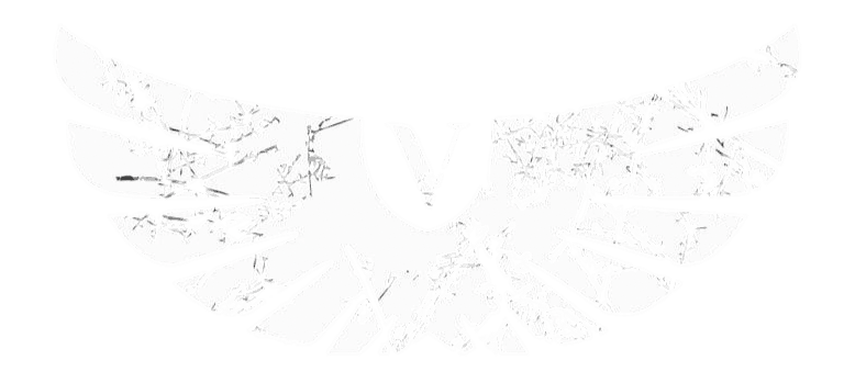 Клуб Тайского бокса и Джиу-Джитсу VORON Самара logo