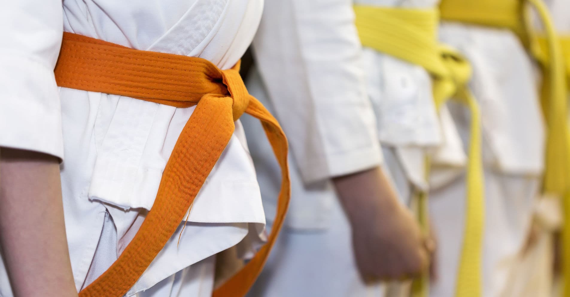 Main image of Judo Club BoskO