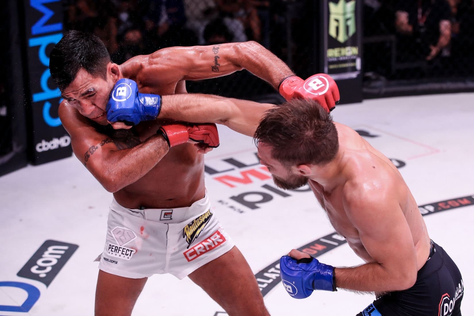 Main image of Burnell MMA & BJJ