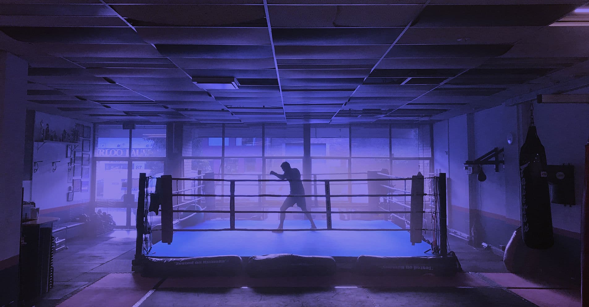 Main image of No Quarter Boxing Gym