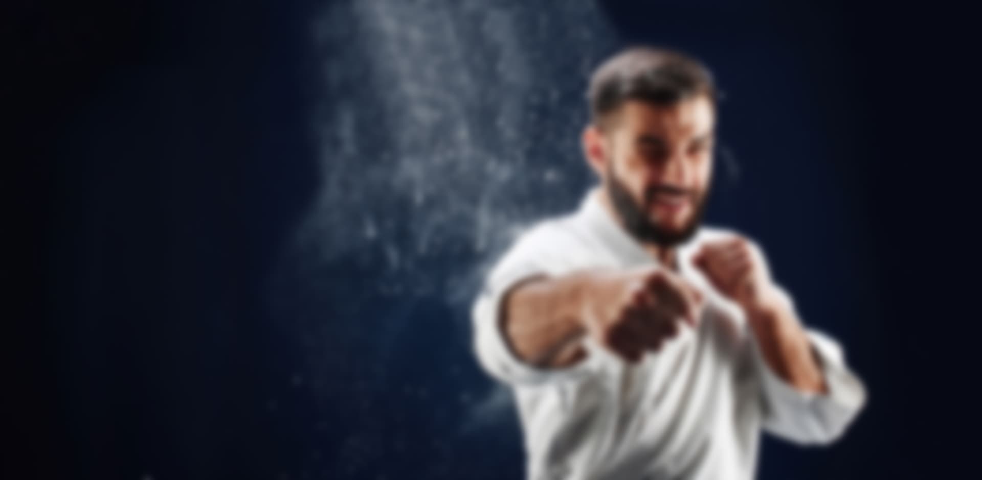 Main image of SHO-DAN DOJO