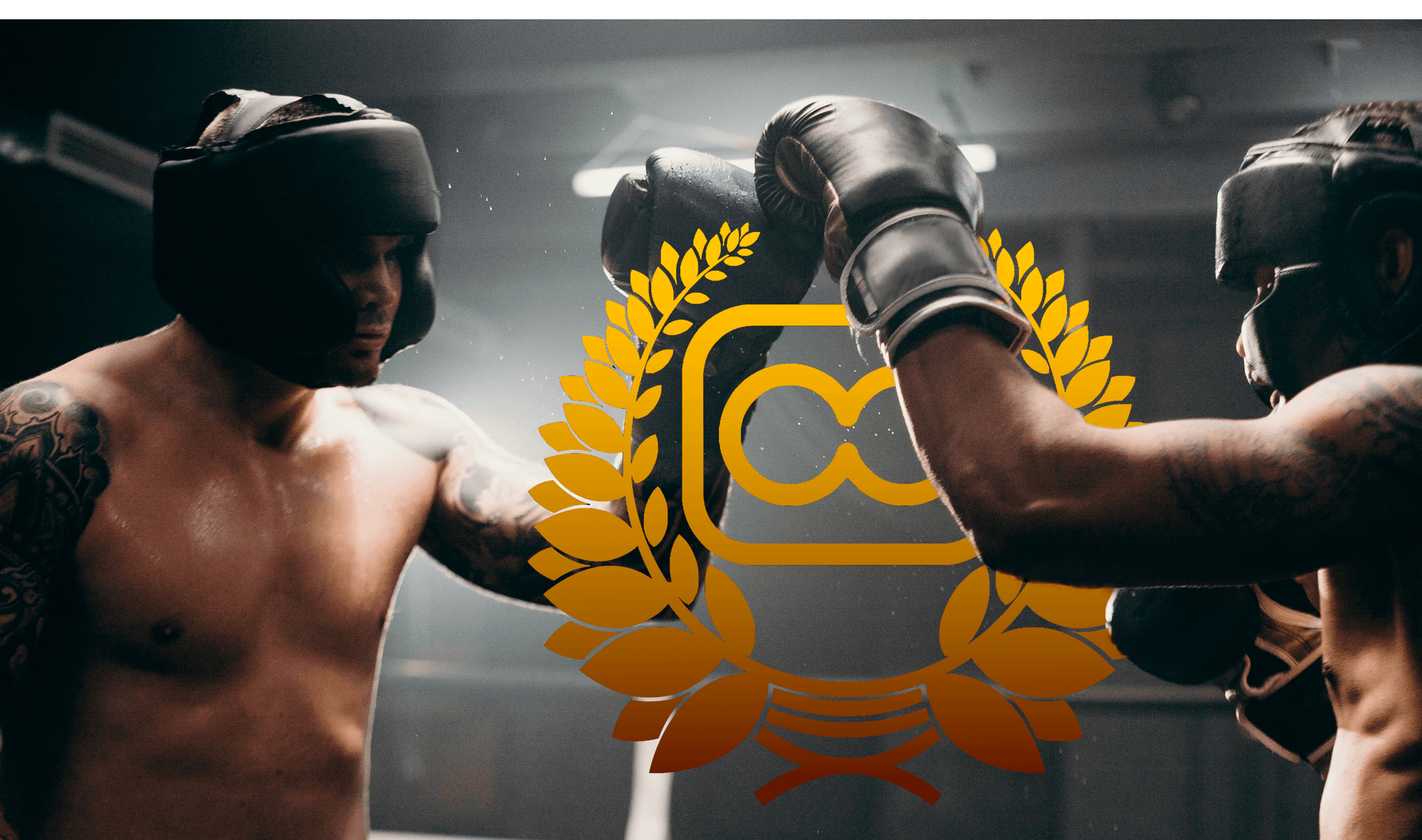 Main image of Sk Boxing Praha