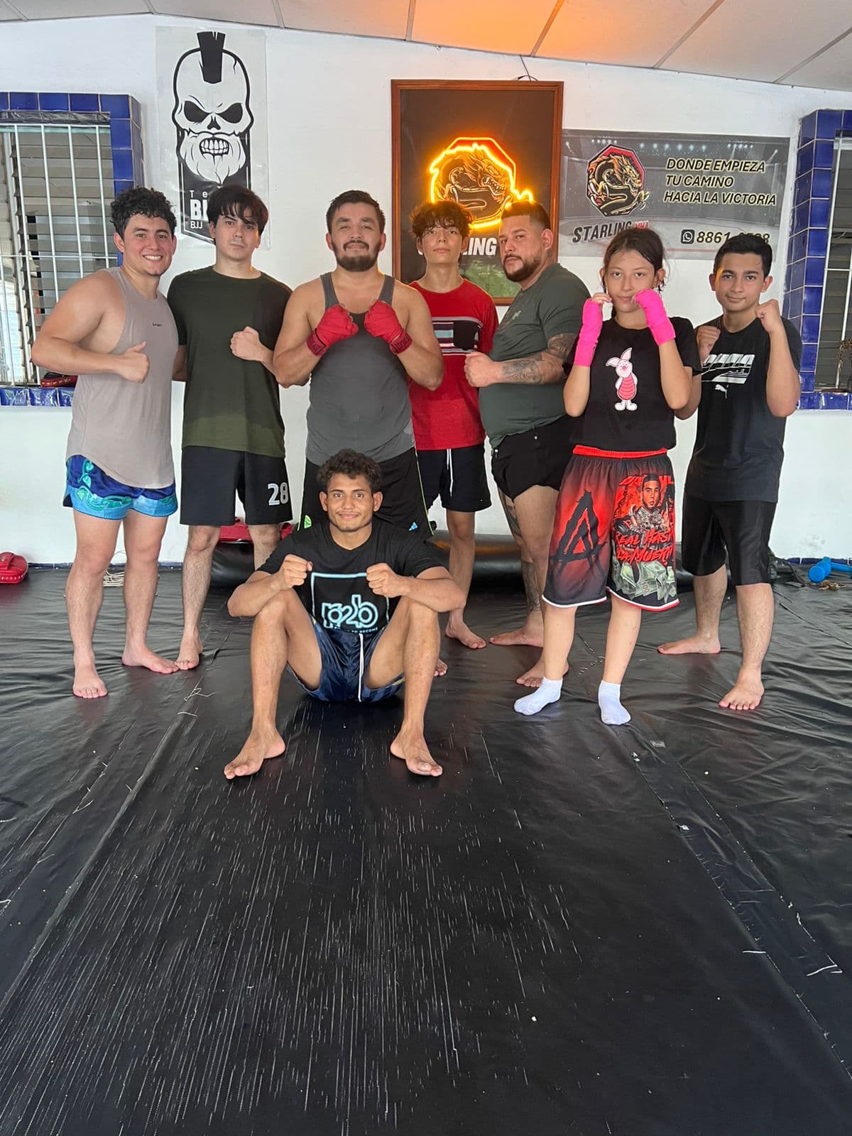 Main image of Starling MMA