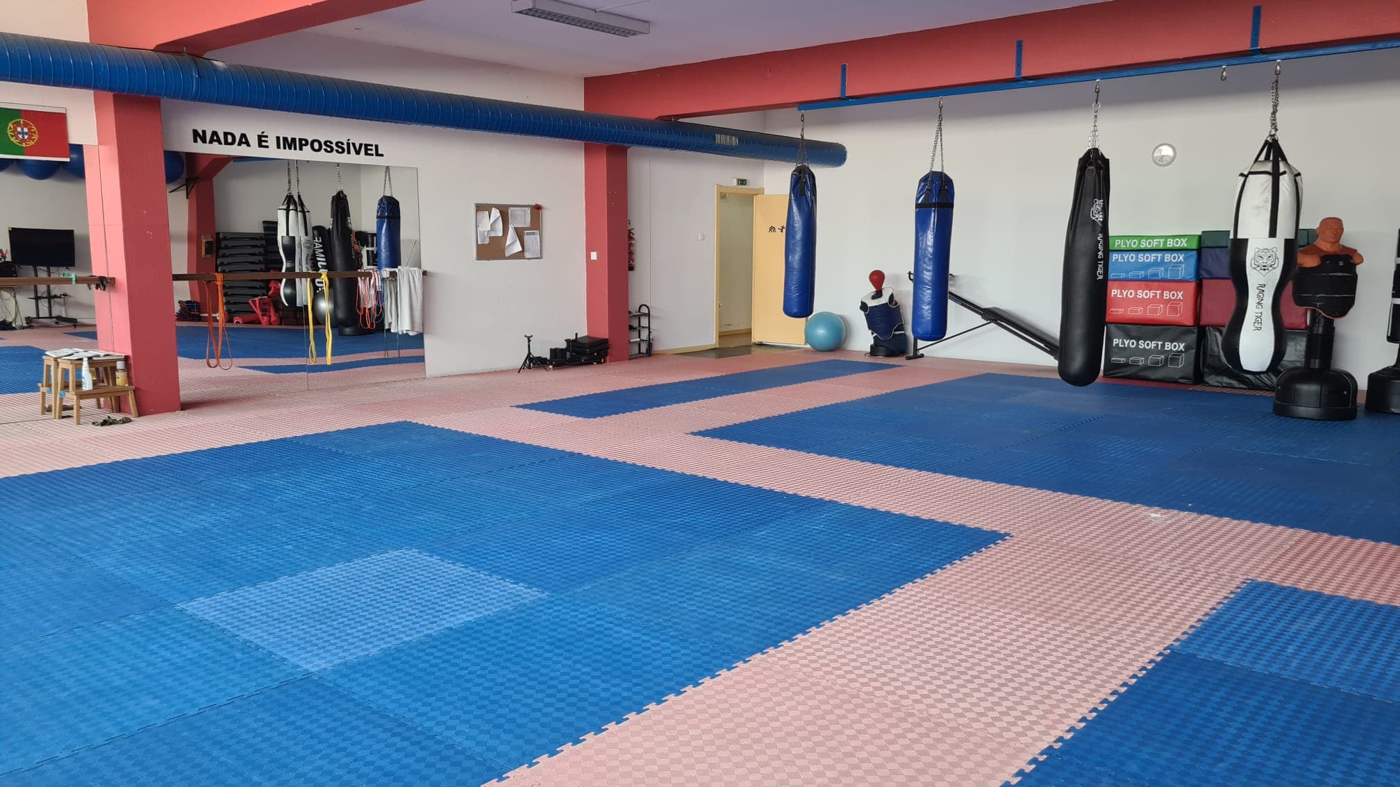 Main image of Academia Marcial