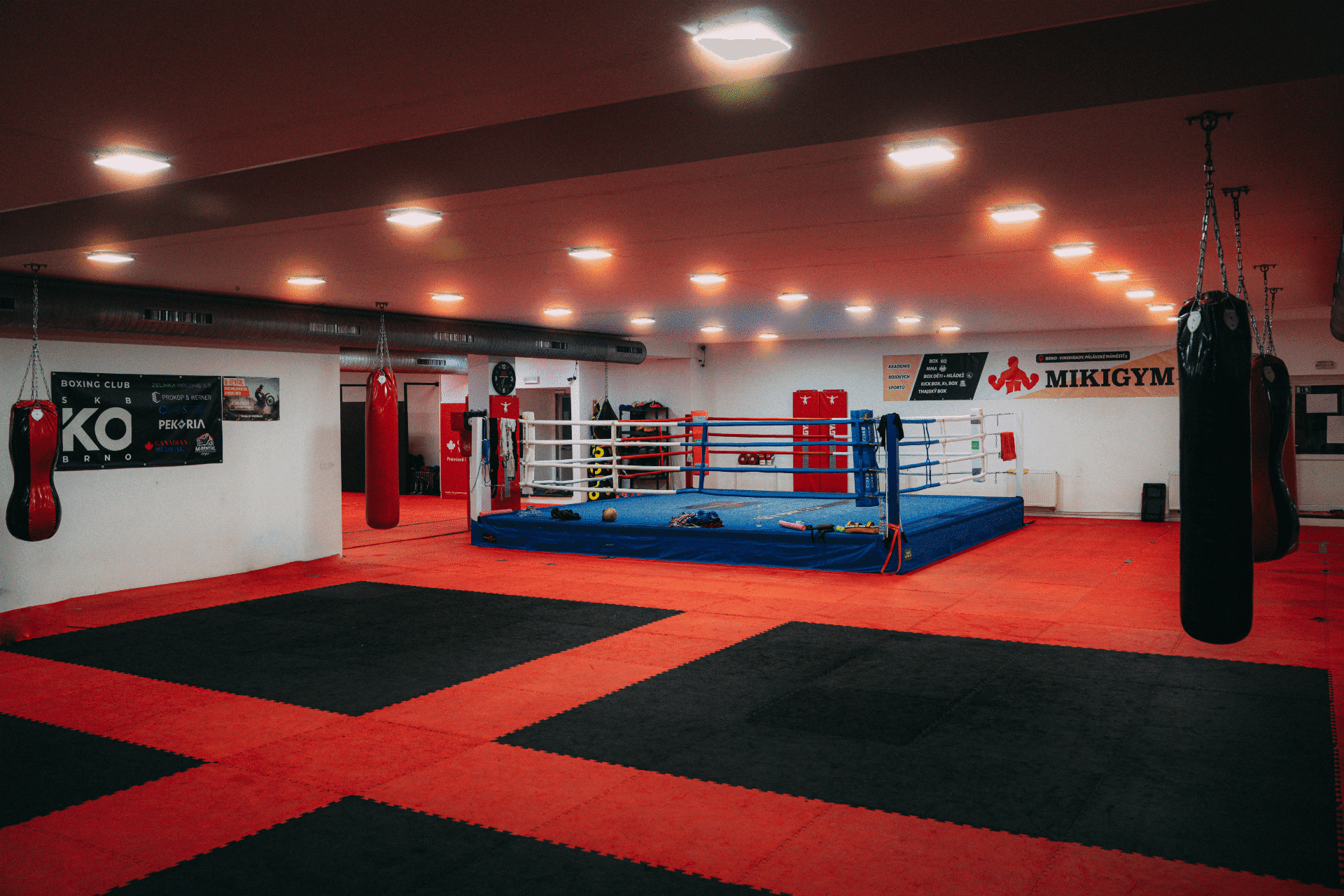 Main image of KO BRNO BOXING CLUB