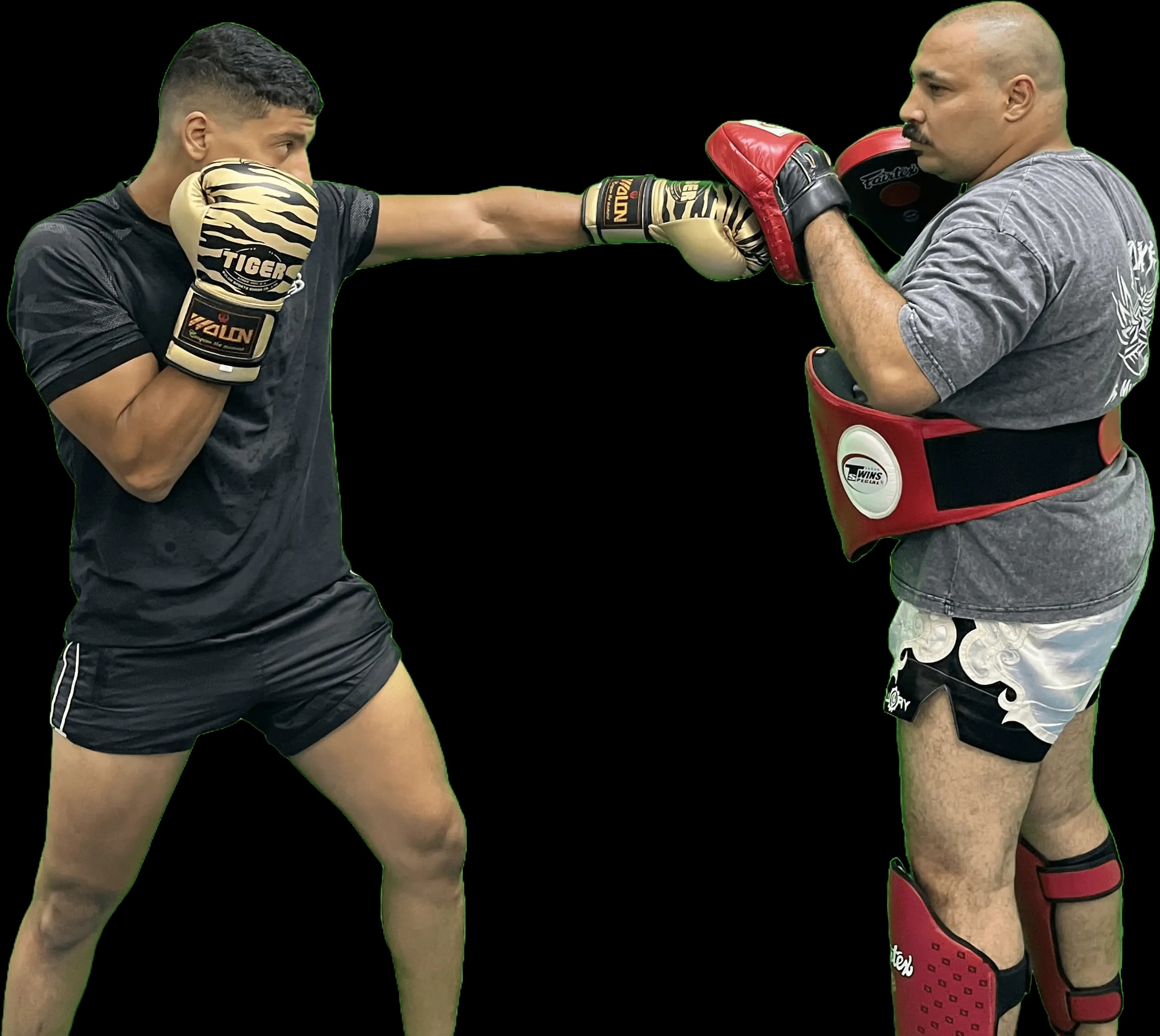 Main image of Sphinx Muay Thai team