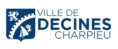 Csd Lutte / Icon Bjj logo