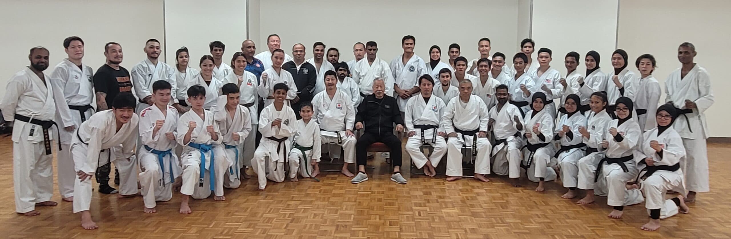 Main image of Japan karate DO- International