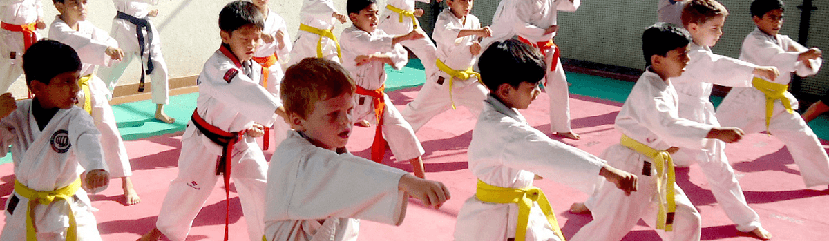 Japan karate DO- International logo