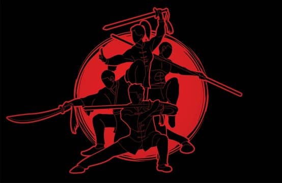 Shaolin Kung Fu & Martial Arts Academy Kolkata - West Bengal Shaolin Kung Fu Wu Shu Association logo