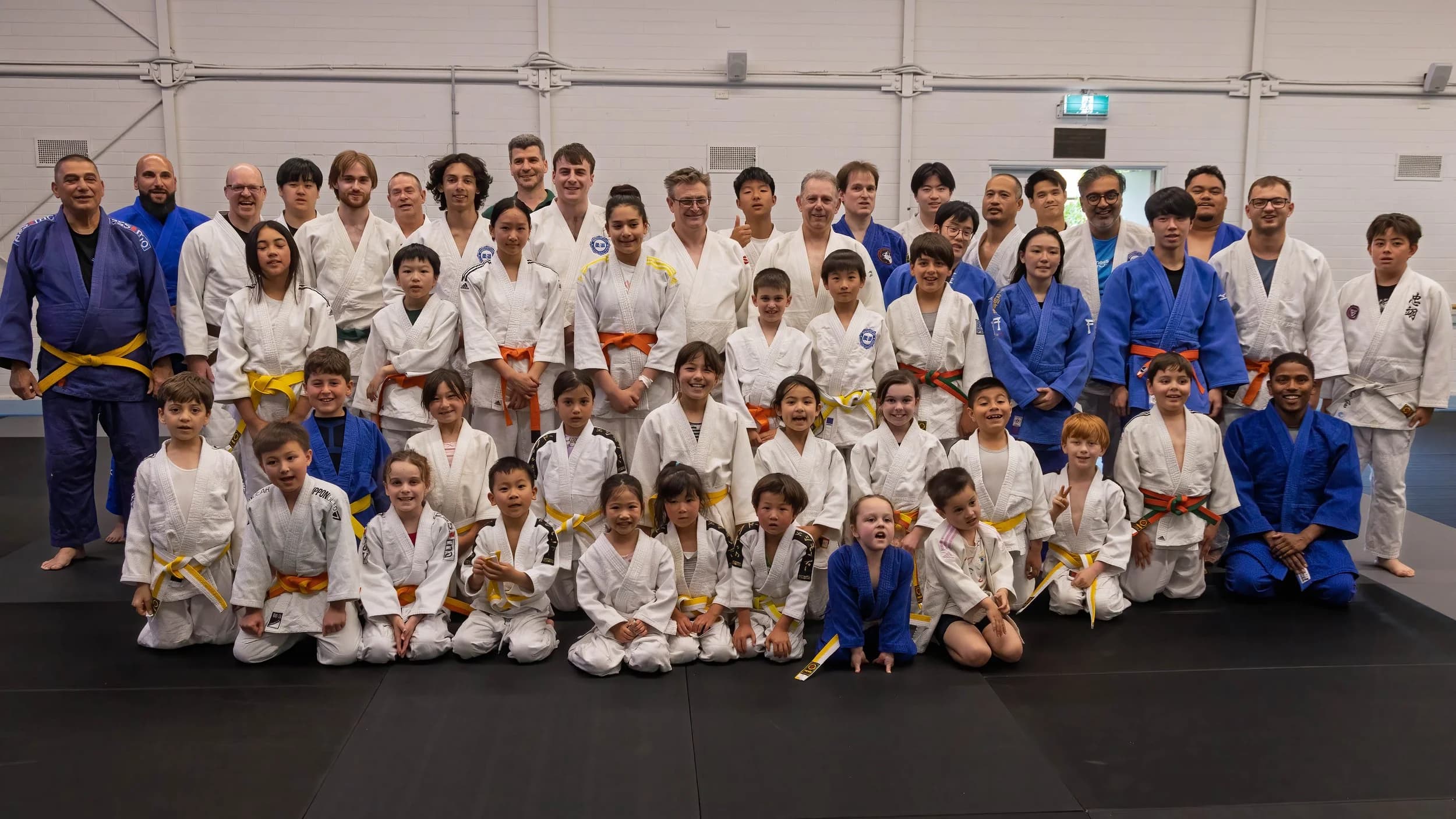 Waverley Judo logo