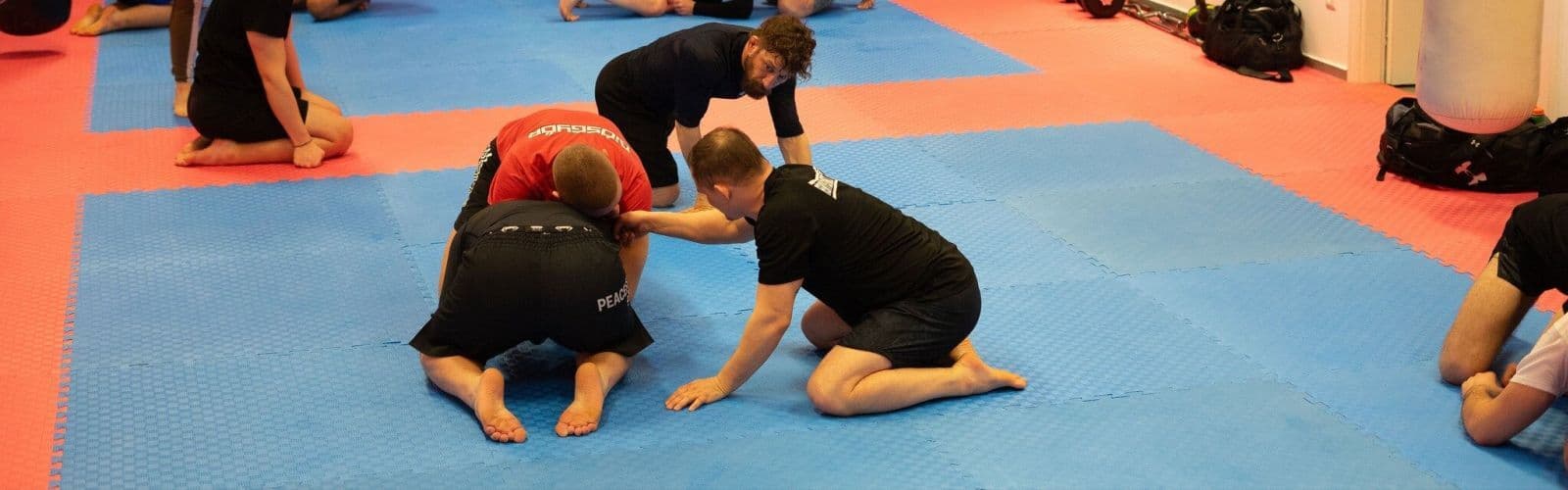 Main image of Fényes Fight Team Sportegyesület