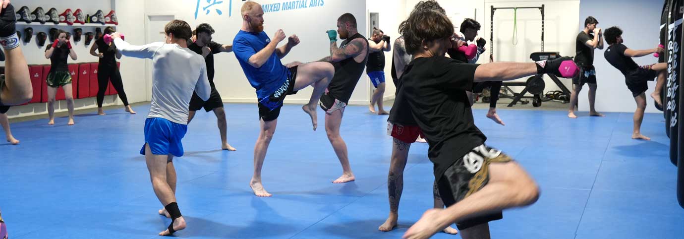 Main image of Imperium Mixed Martial Arts