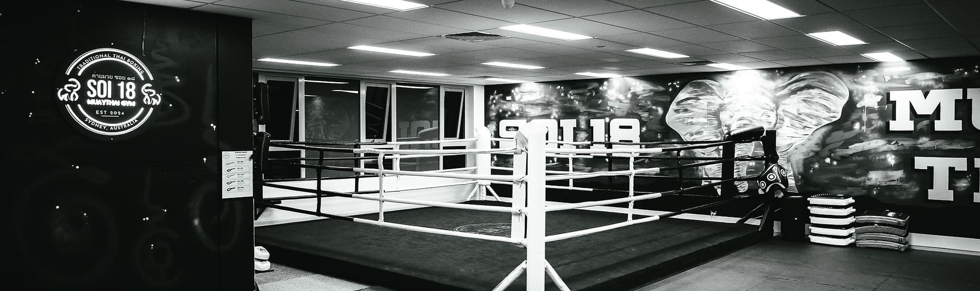 Soi 18 Muaythai Gym logo