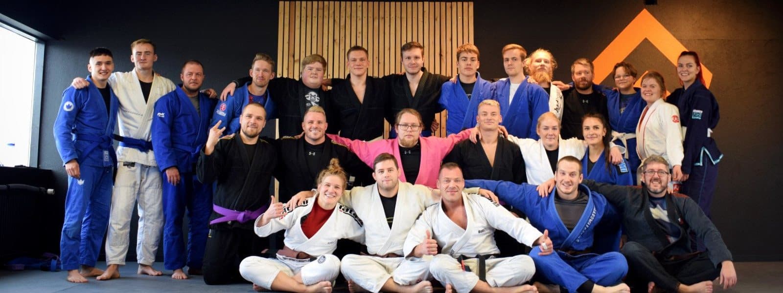 Atlantic Jiu Jitsu Iceland logo