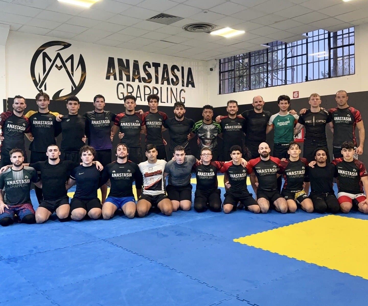 Main image of Anastasia Grappling