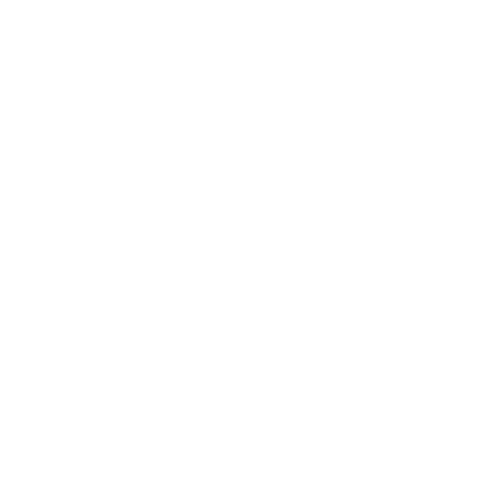 Shkola Boksa Boyets logo