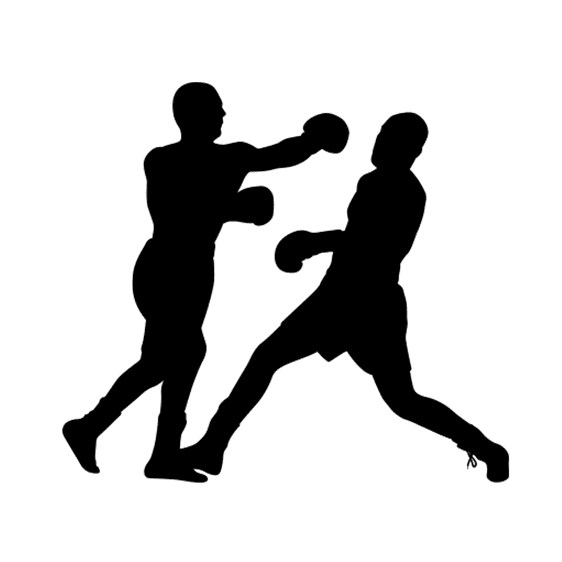 Main image of MMA-Vienna