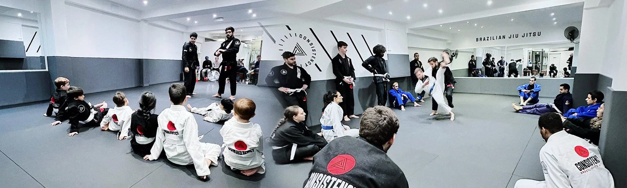 Main image of Consistency Brazilian Jiu Jitsu