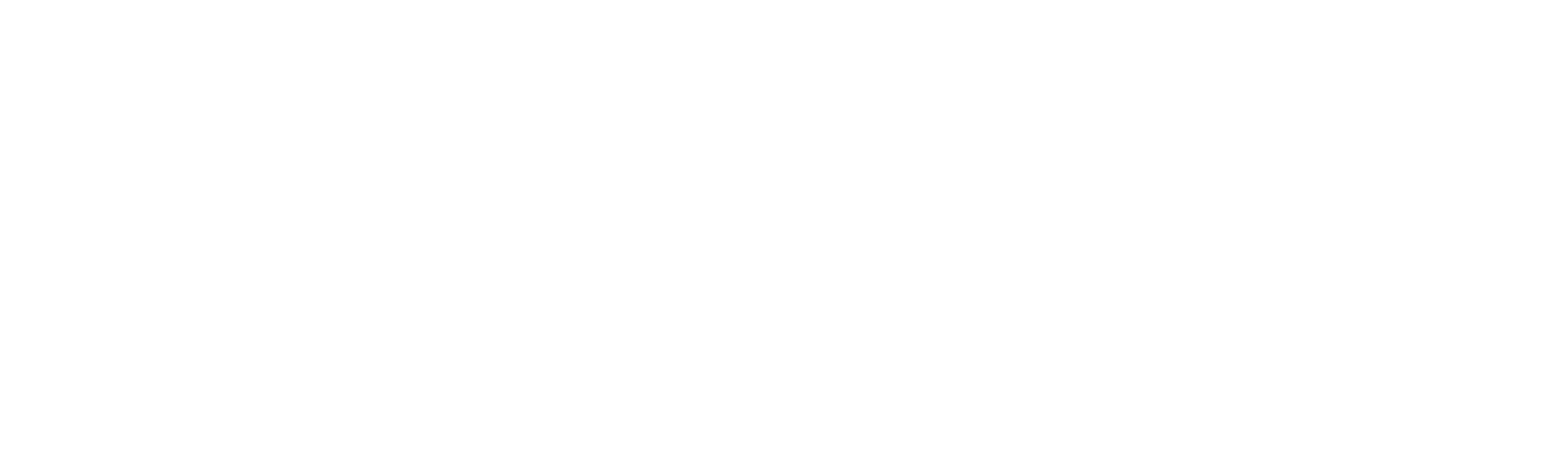 Dojo Jiu-Jitsu School | Genève logo