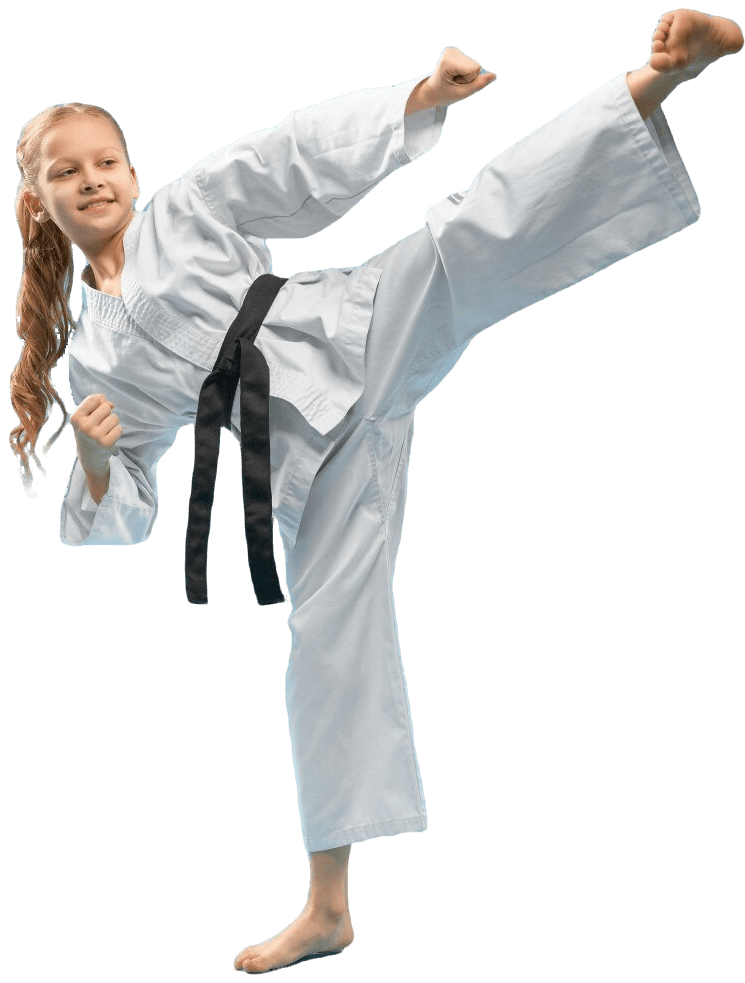 Main image of International Golden Falcon Karate - Do LLC (IGFK)