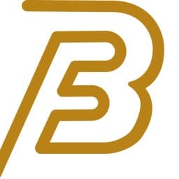 Benjilany striking - Muay Thai - kickboxing & MMA chicago logo