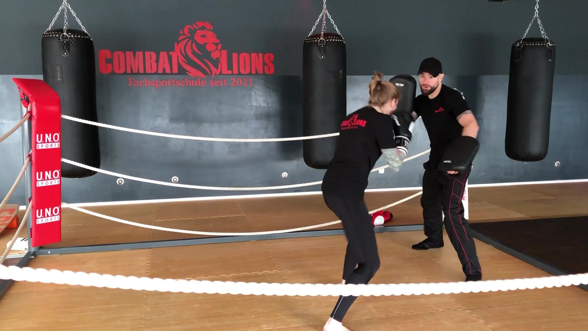 Main image of Boxen Combat Lions