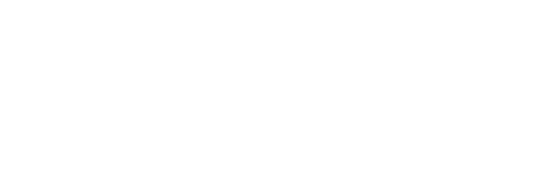 Boxen Combat Lions logo