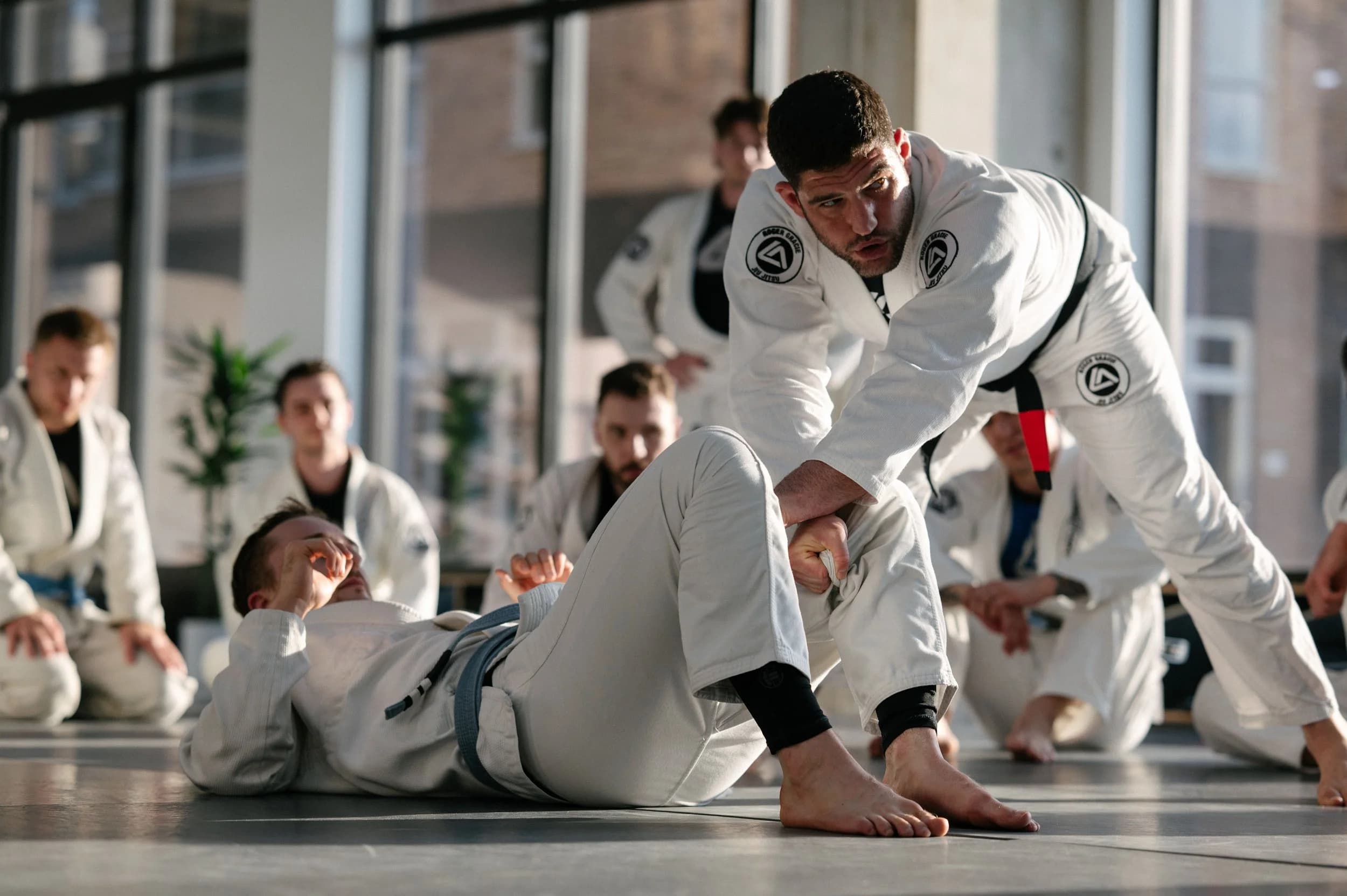Roger Gracie Amsterdam logo