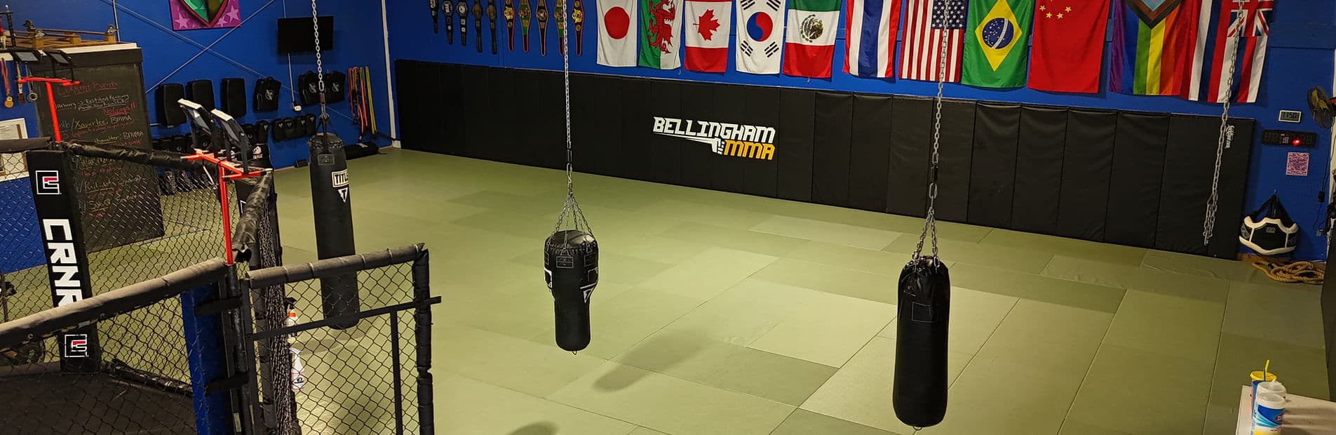 Main image of Bellingham Mixed Martial Arts