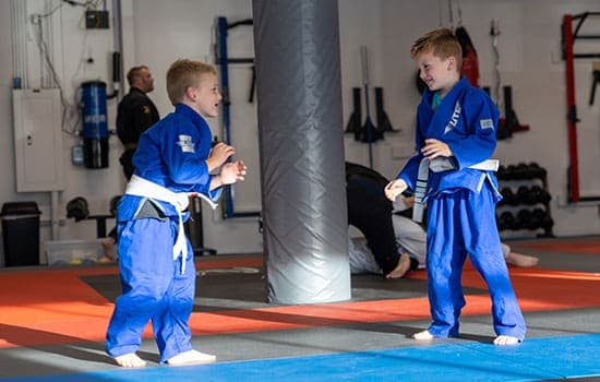 Main image of The Rock Jiu Jitsu Team