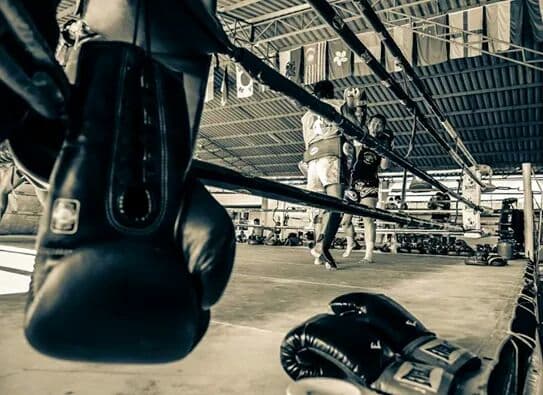 Main image of Club Deportivo Rama Muay Thai Boxing