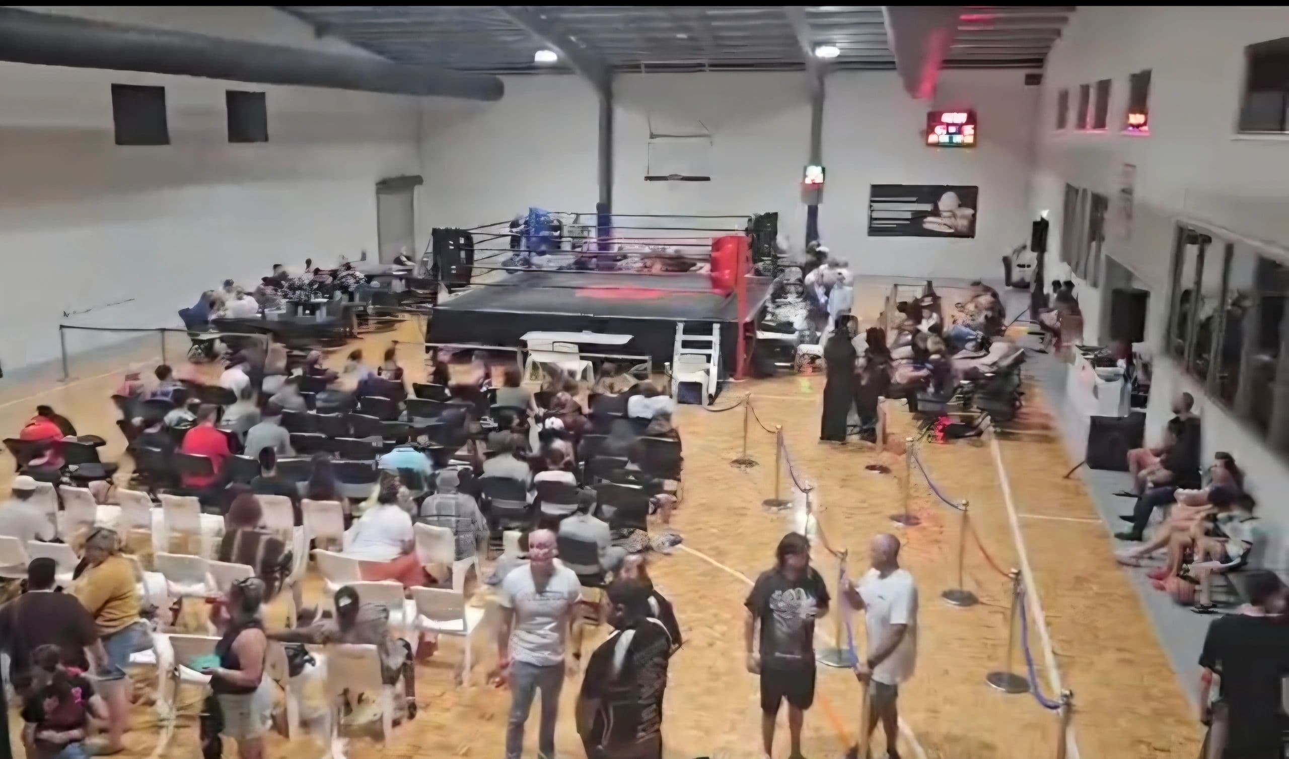 Main image of Freedom Boxing