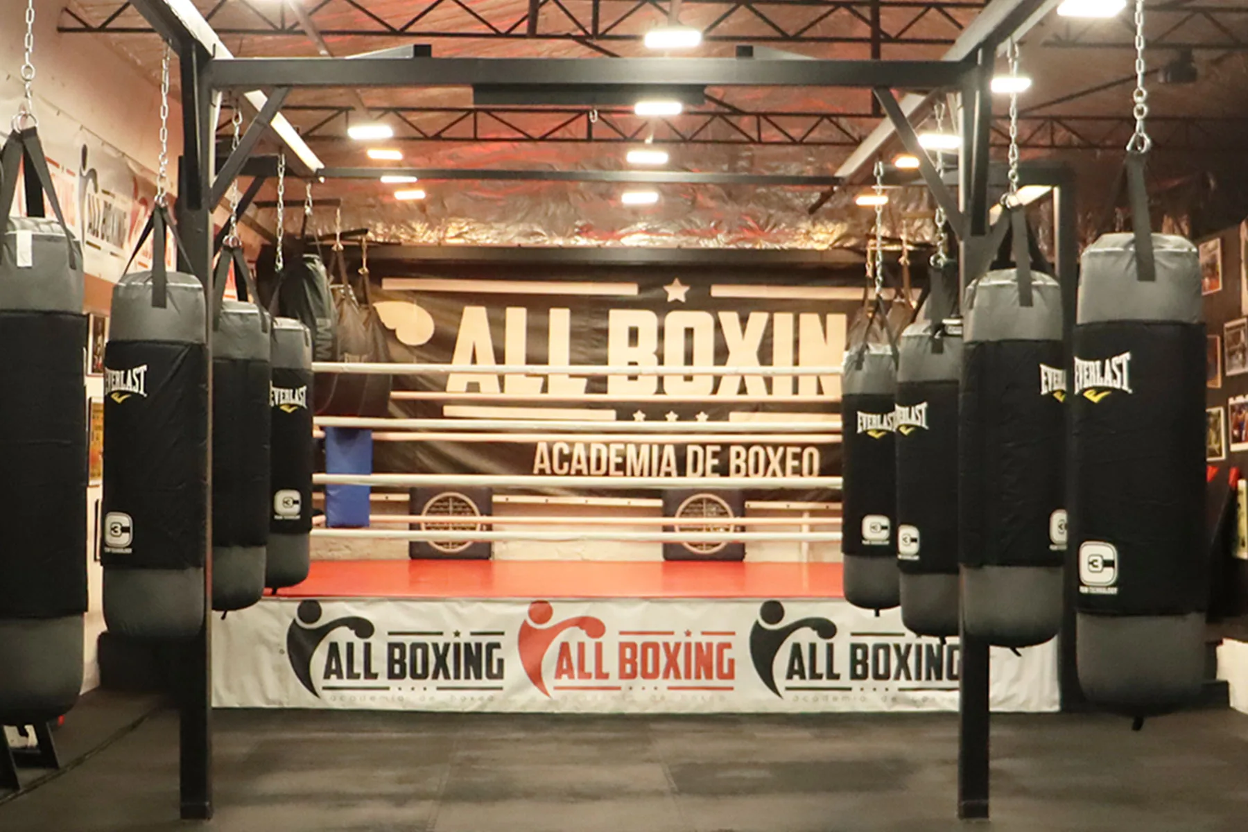 Main image of All Boxing