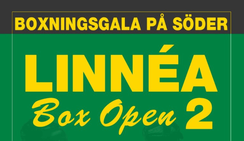 Main image of IF Linnéa Boxning