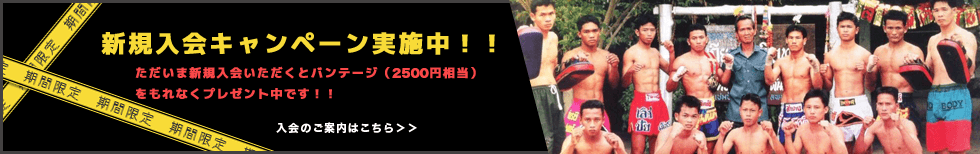 T・Y・T MUAY THAI GYM logo
