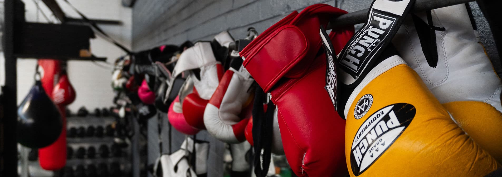 Main image of Ringside Boxing & Fitness