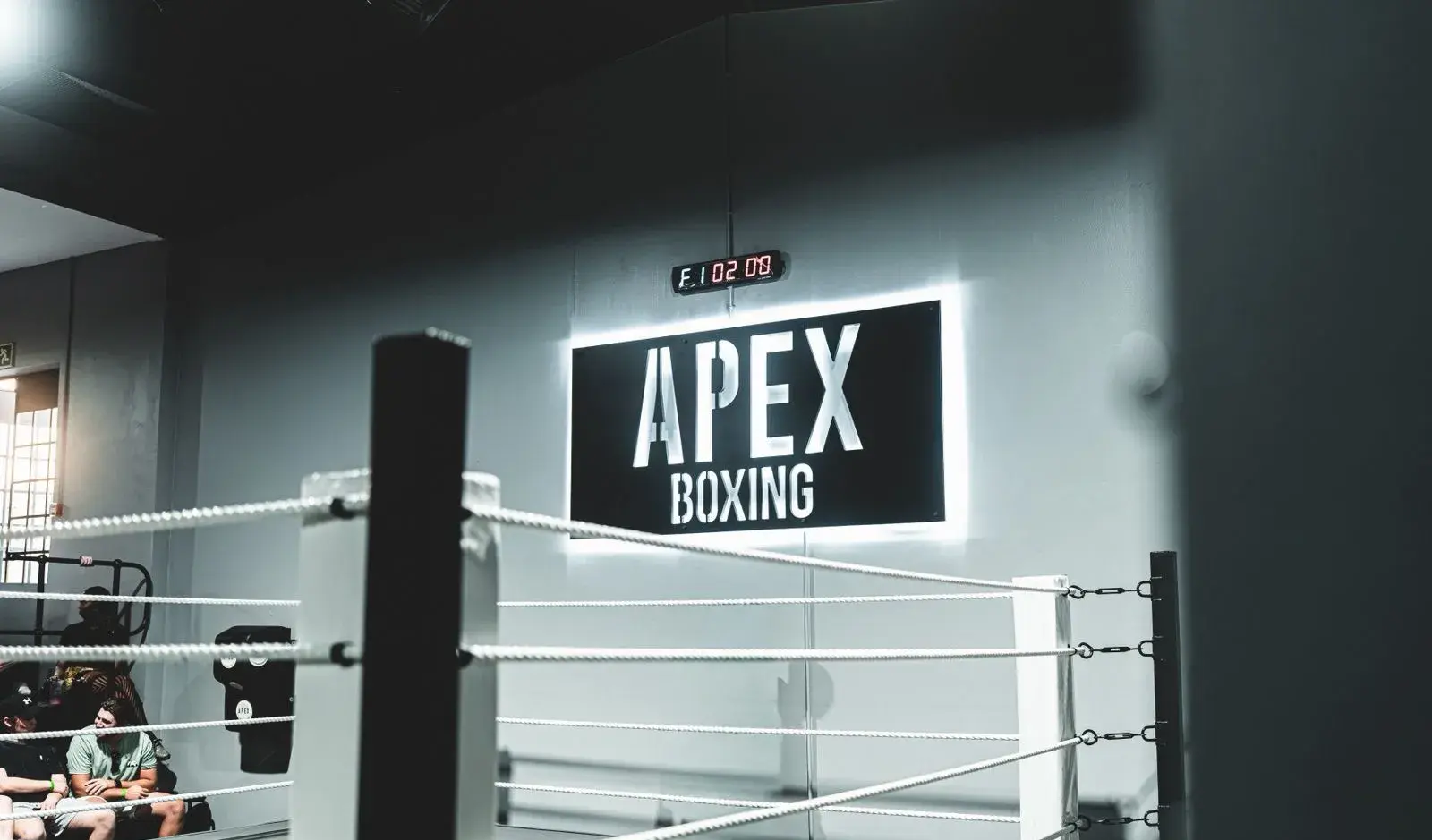 Main image of Apex - Boxing and Brazilian Jiu Jitsu