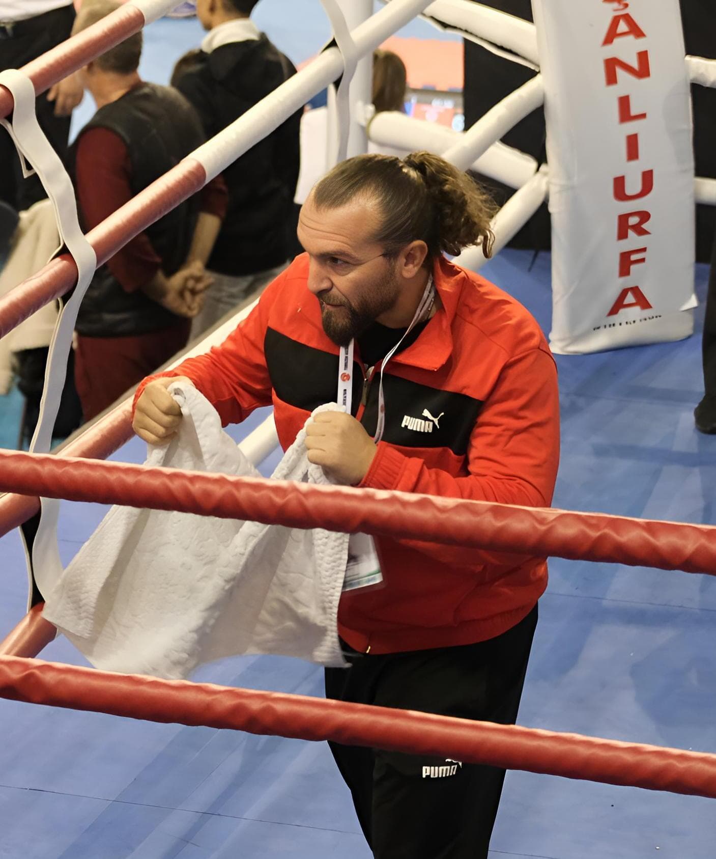 Main image of Asil Fight Club