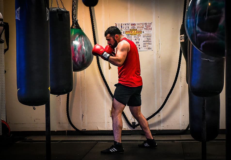 Main image of Kzoo Boxing