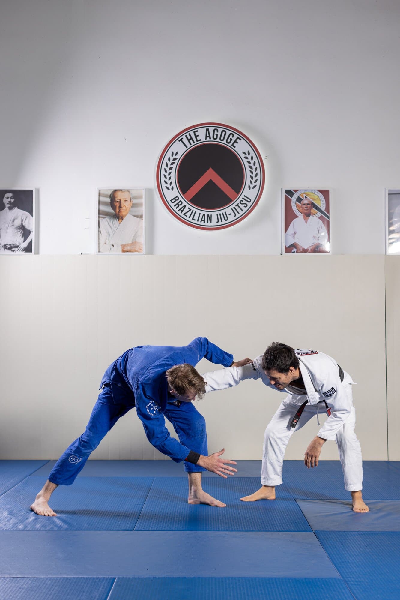 The Agoge Brazilian Jiu-Jitsu- Martial Arts School logo