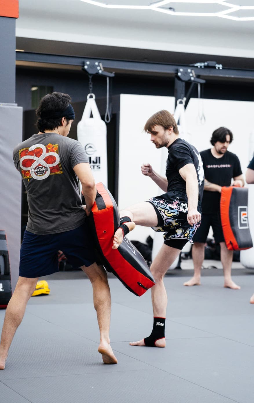 Main image of Dragon Leg Muay Thai Kickboxing Novi