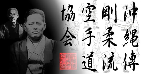 Main image of TOGKA